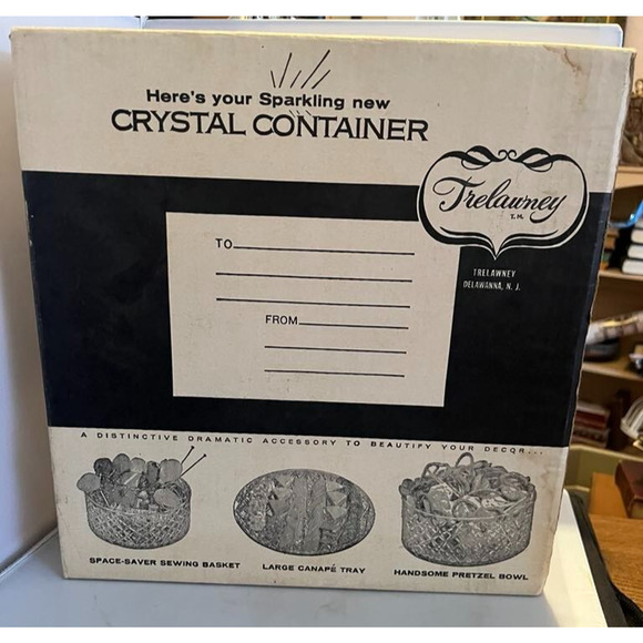 Trelawney Crystal Cut Clear Lucite Cake Keeper / Salad Bowl / Plate Vintage BOX - Picture 4 of 4